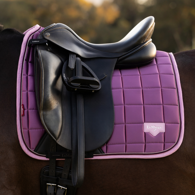 LeMieux Loire Classic Dressage Square - Mallow-1
