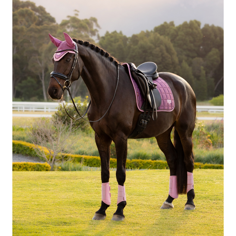 LeMieux Loire Classic Dressage Square - Mallow-4