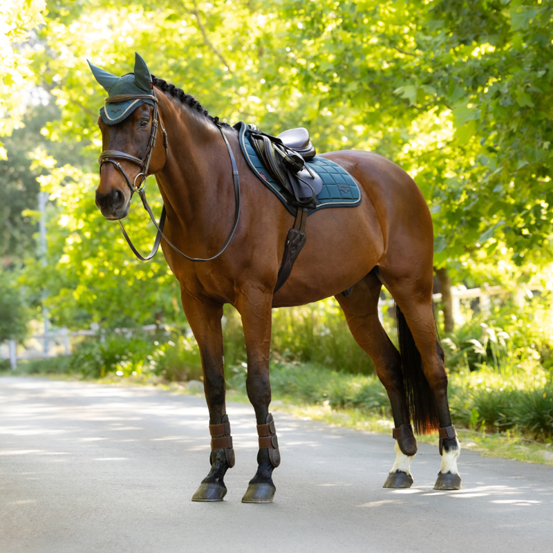 LeMieux Loire Classic Close Contact Square - Jungle-2