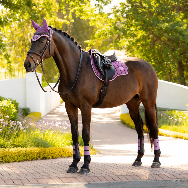 LeMieux Loire Classic GP Square - Mallow-2