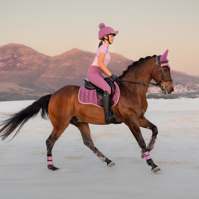 LeMieux Loire Classic GP Square - Mallow-7
