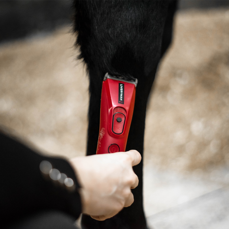 Liveryman Nova Trimmer-8