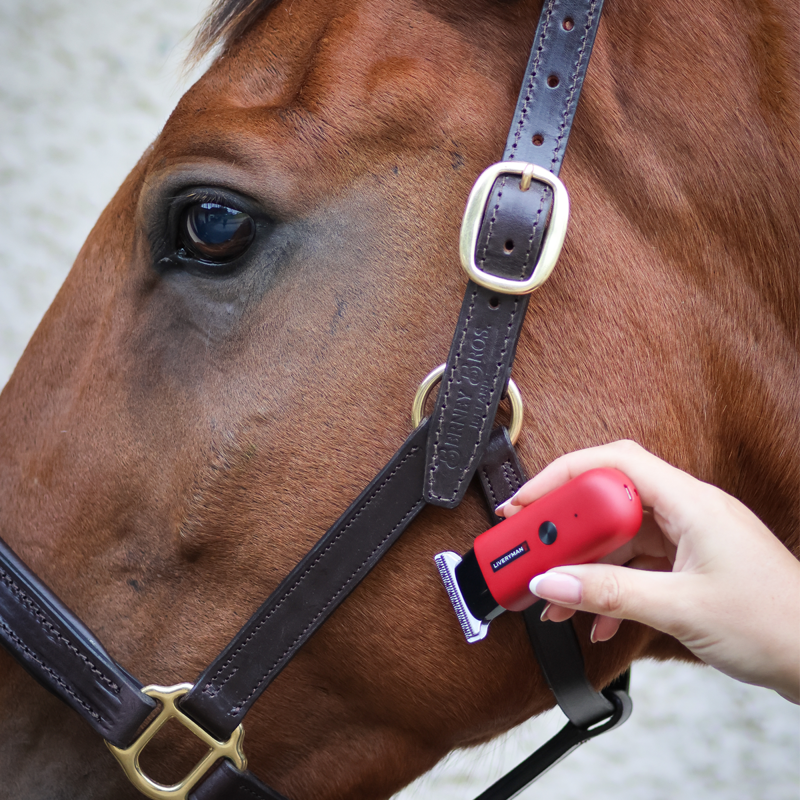 Liveryman Robin Trimmer-2