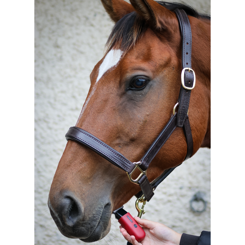 Liveryman Robin Trimmer-6