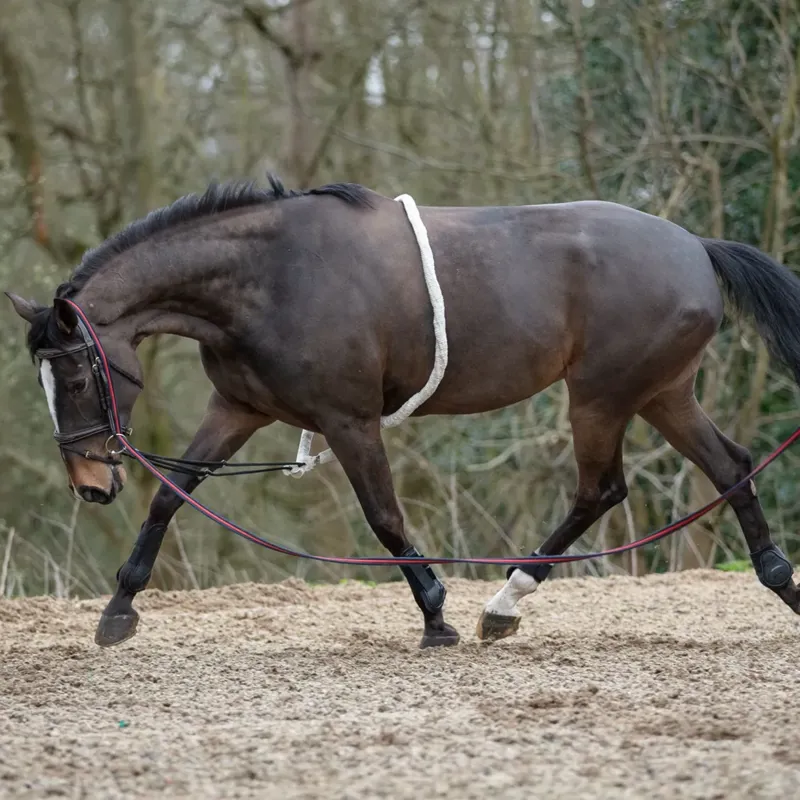 Mark Todd Lunging Aid - Cream - Full