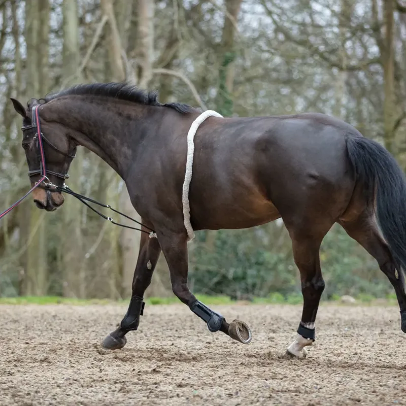 Mark Todd Lunging Aid - Cream - Full-1