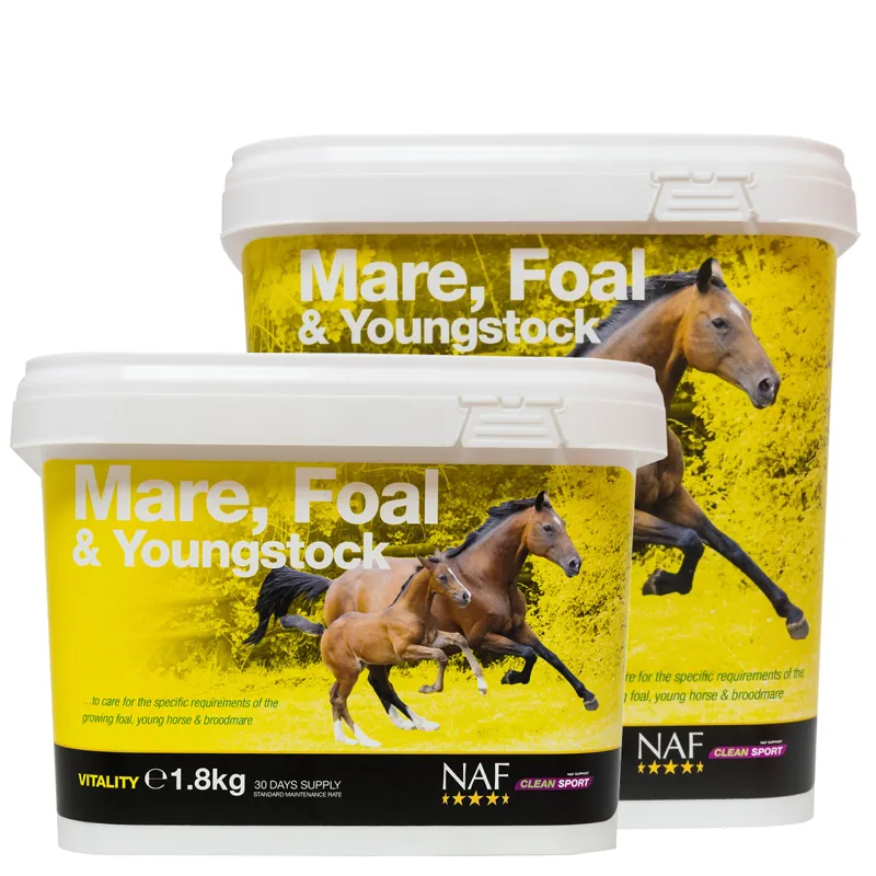 NAF Mare Foal And Youngstock