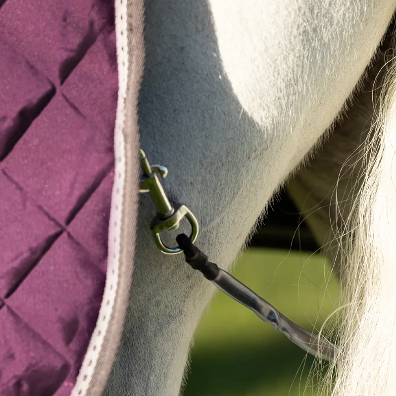 Hy DefenceX Shield 300g Stable Rug with Detachable Neck - Purple-2