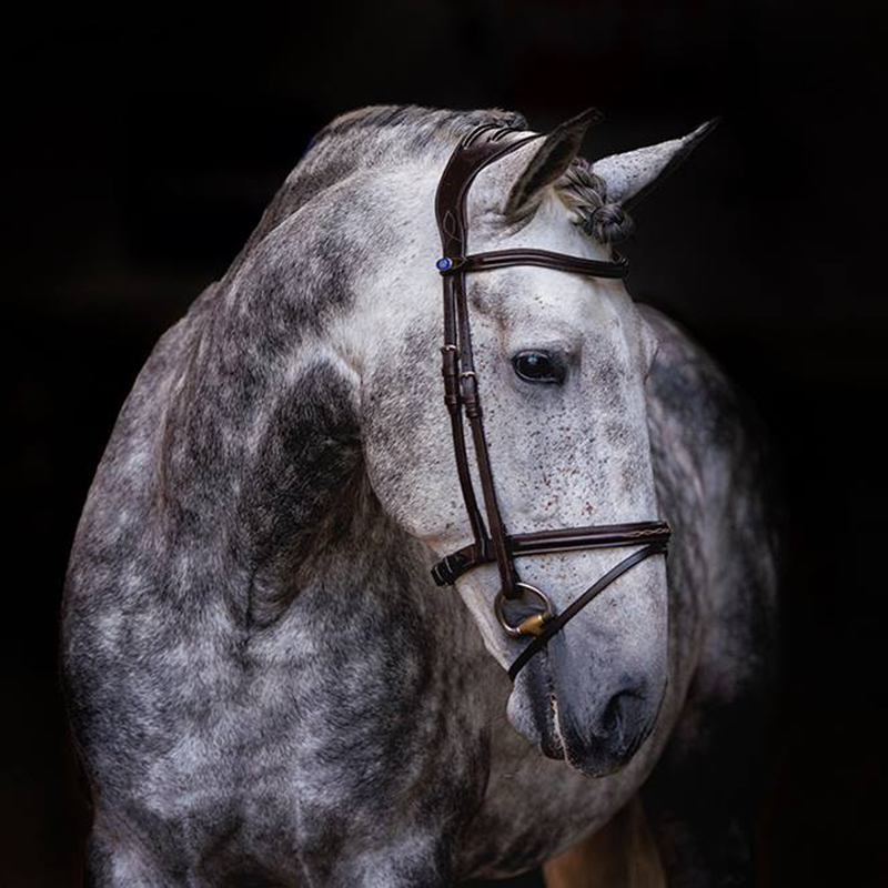 PS Of Sweden Olympic Revolution Bridle - Brown