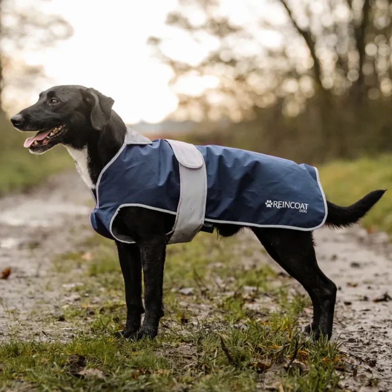 Reincoat Dog Coat - Navy
