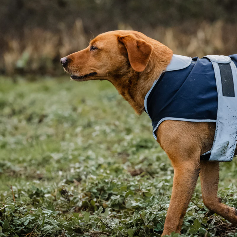 Reincoat Dog Coat - Navy-2