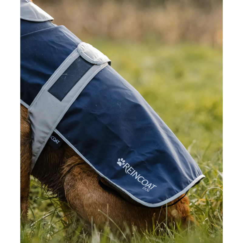 Reincoat Dog Coat - Navy-3