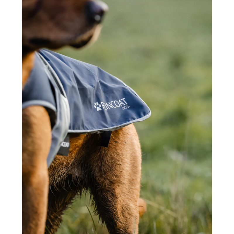 Reincoat Dog Coat - Navy-4