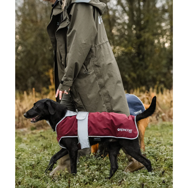 Reincoat Dog Coat - Burgundy-1