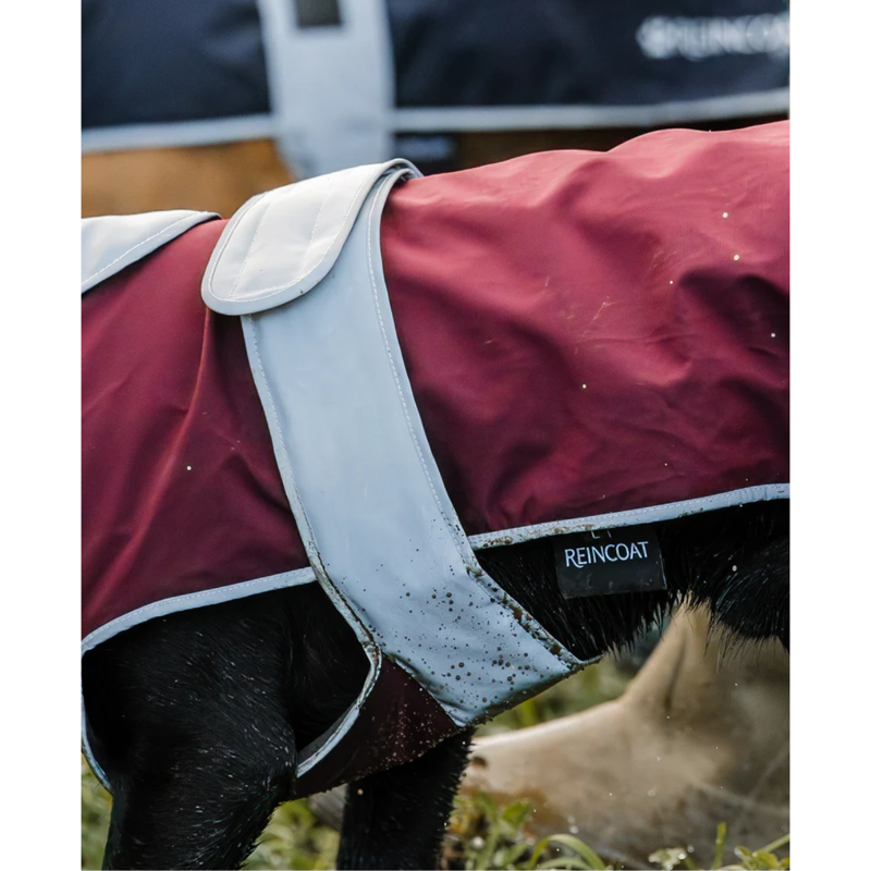 Reincoat Dog Coat - Burgundy-2