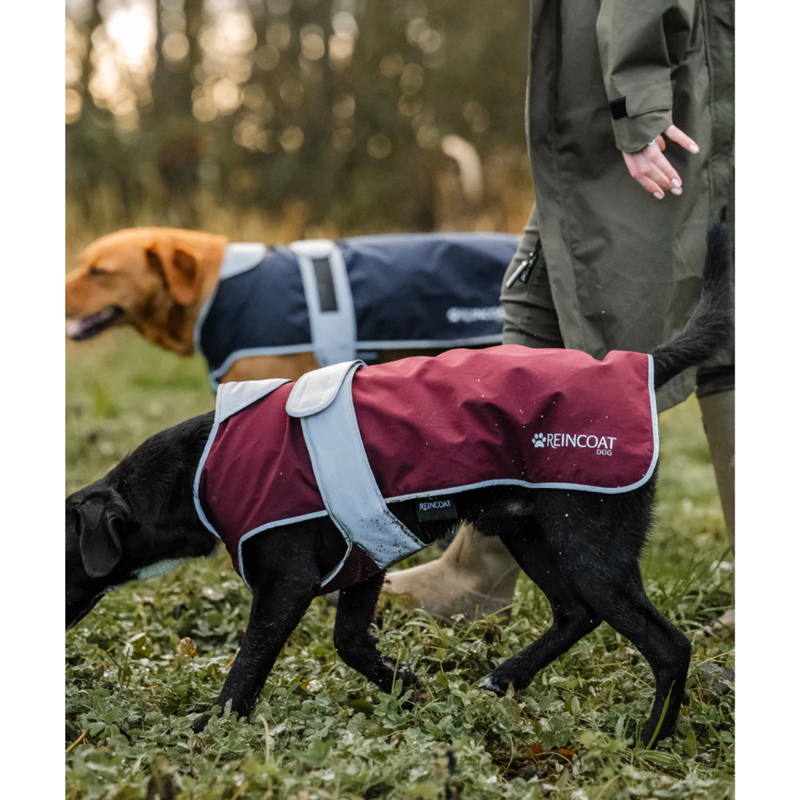 Reincoat Dog Coat - Burgundy-4
