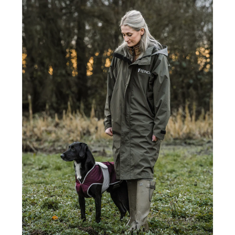 Reincoat Dog Coat - Burgundy-5