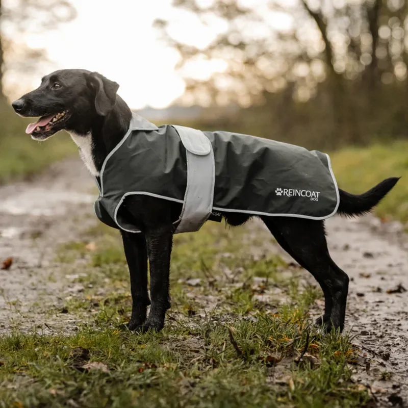 Reincoat Dog Coat - Olive