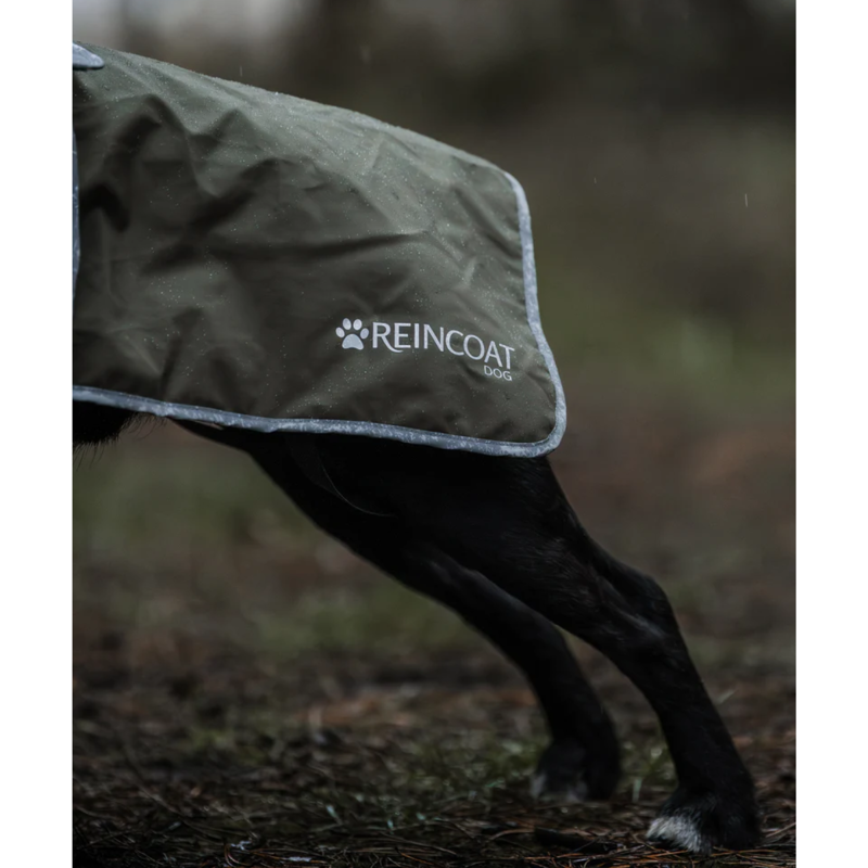 Reincoat Dog Coat - Olive-4