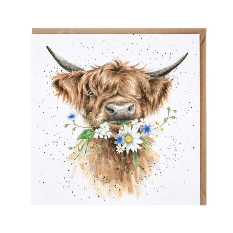 Wrendale Designs 'Daisy Cow' Highland Cow Card