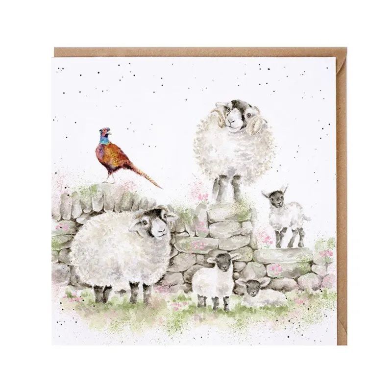 Wrendale Designs 'Green Pastures' Sheep Card