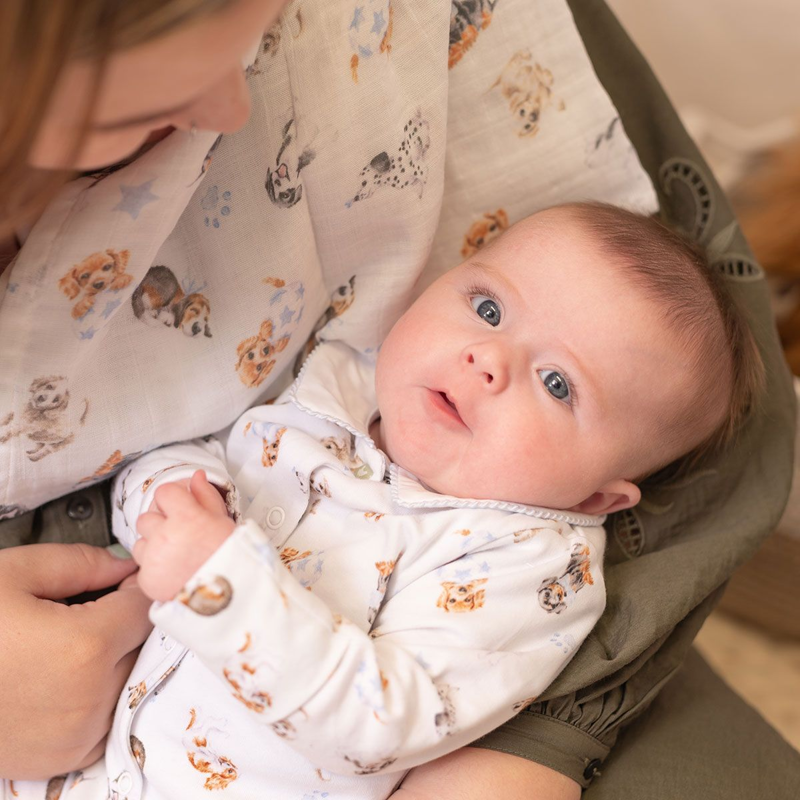 Wrendale Designs 'Little Paws' Dog Muslin Gift Set-6