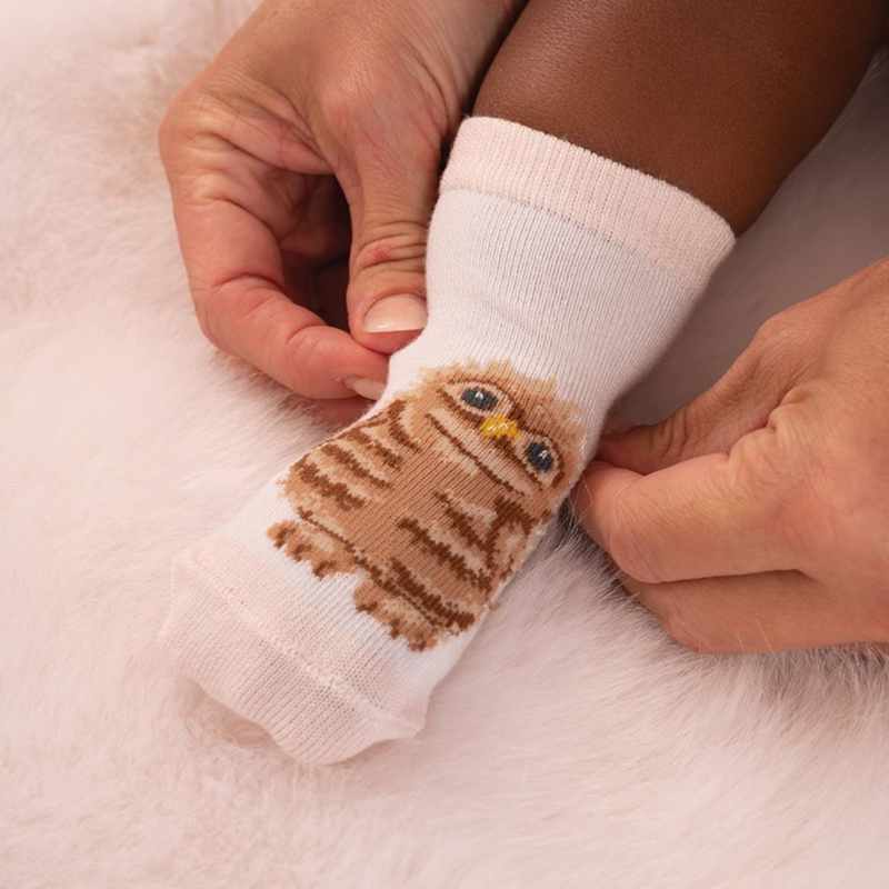 Wrendale Designs 'Little Forest' Woodland Baby Socks-3