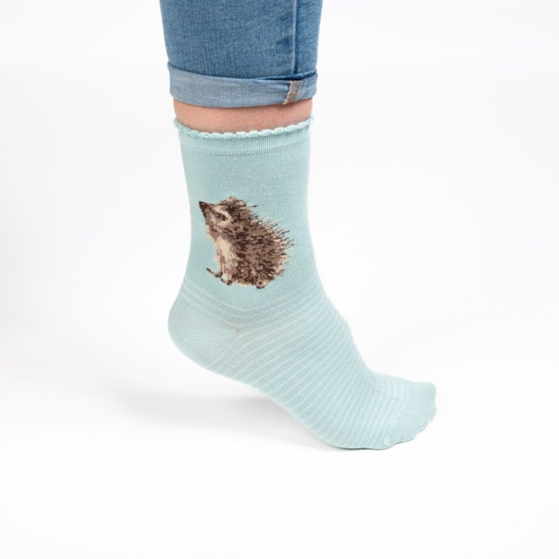 Wrendale Designs 'Hedgehugs' Hedgehog Socks-1