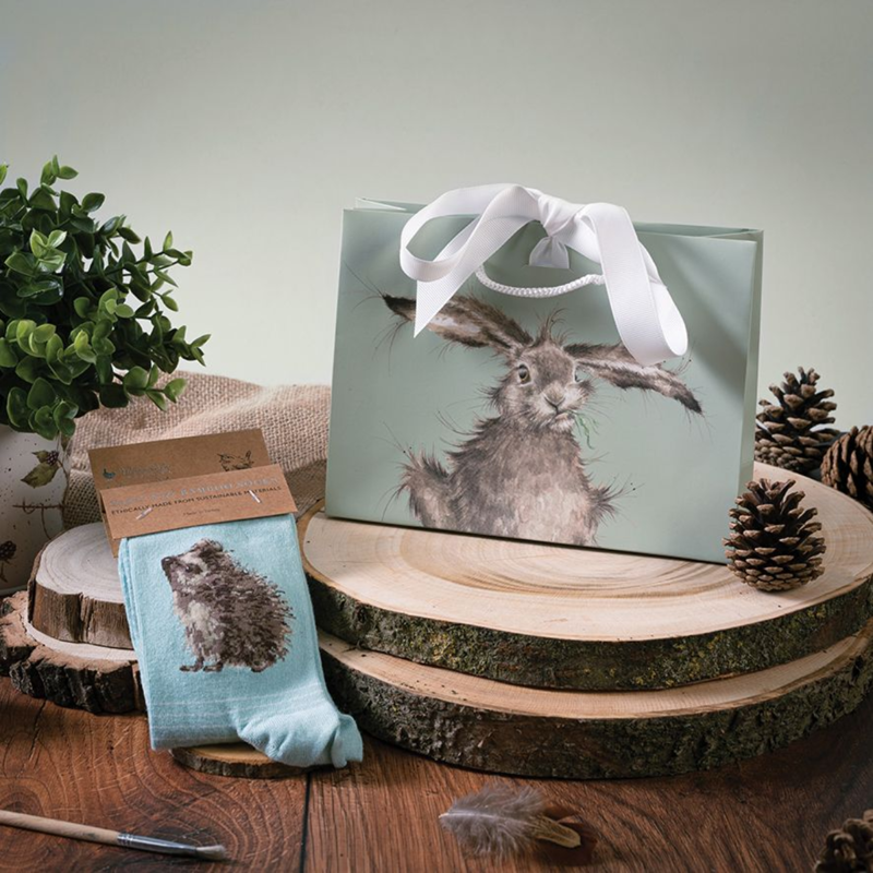 Wrendale Designs 'Hedgehugs' Hedgehog Socks-2