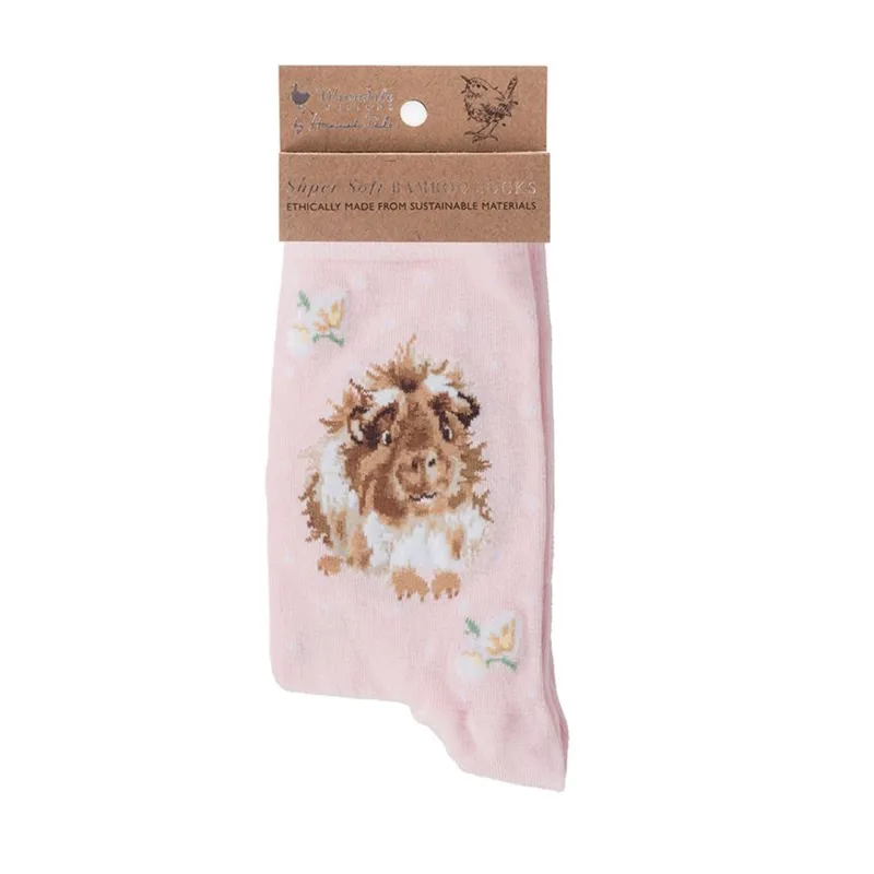Wrendale Designs 'Grinny Pig' Guinea Pig Socks