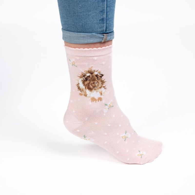 Wrendale Designs 'Grinny Pig' Guinea Pig Socks-1