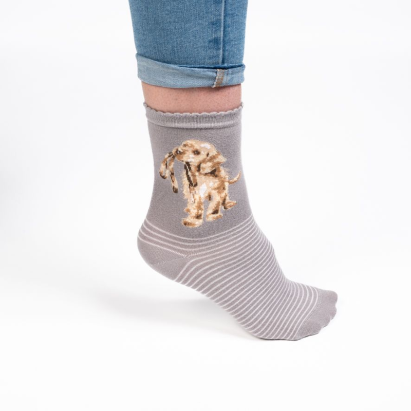 Wrendale Designs 'Hopeful' Dog Socks-2