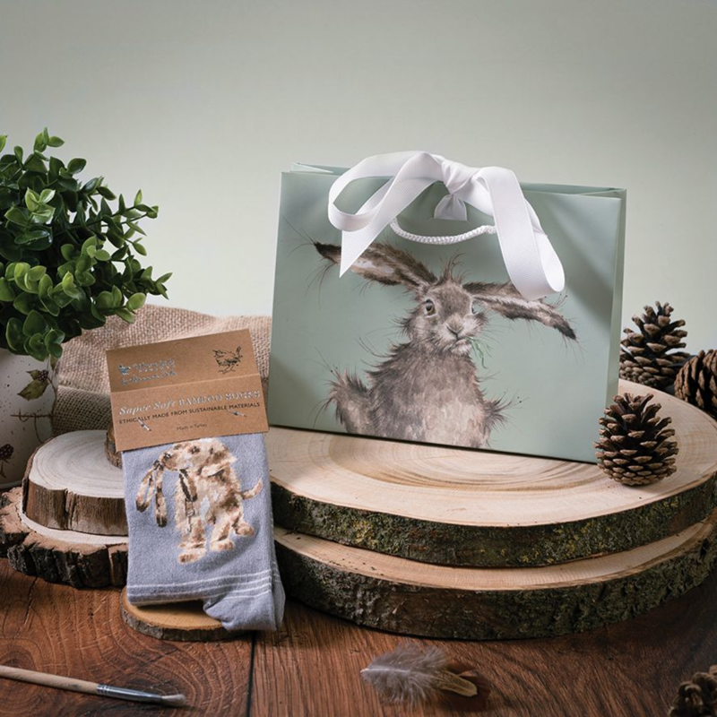 Wrendale Designs 'Hopeful' Dog Socks-3