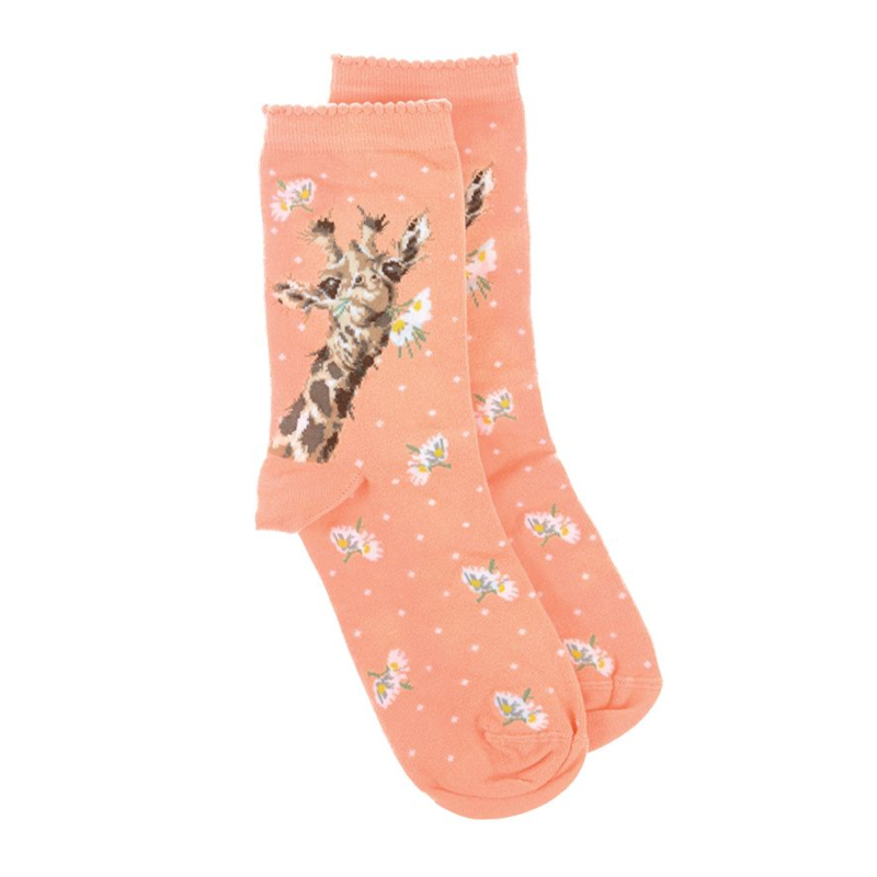 Wrendale Designs 'Flowers' Giraffe Socks-1