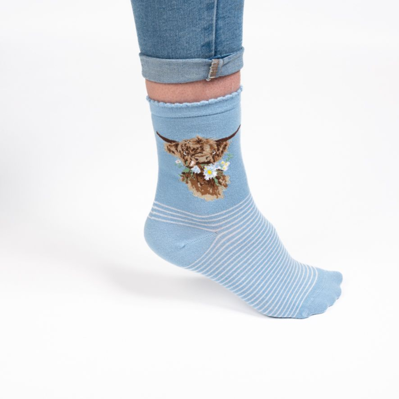 Wrendale Designs 'Daisy Coo' Highland Cow Socks-2