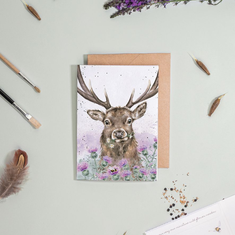 Wrendale Designs 'Thistle Make You Smile' Stag Seed Card-1
