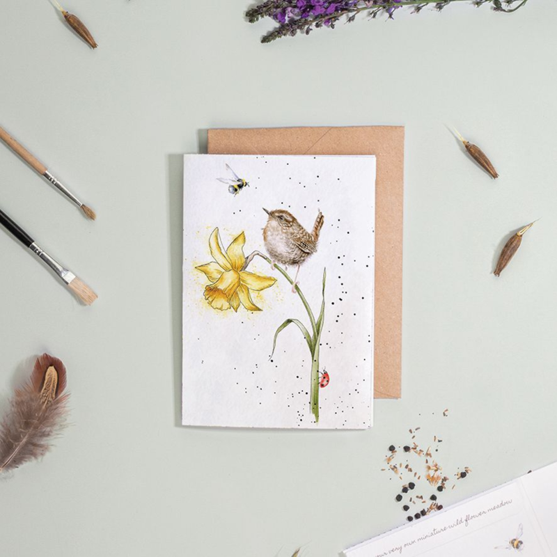 Wrendale Designs 'The Birds And The Bees' Wren Seed Card-1