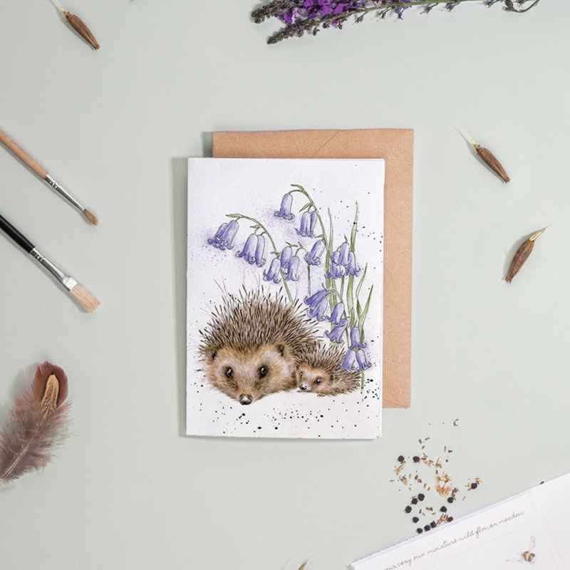 Wrendale Designs 'Love And Hedgehugs' Hedgehog Seed Card-1