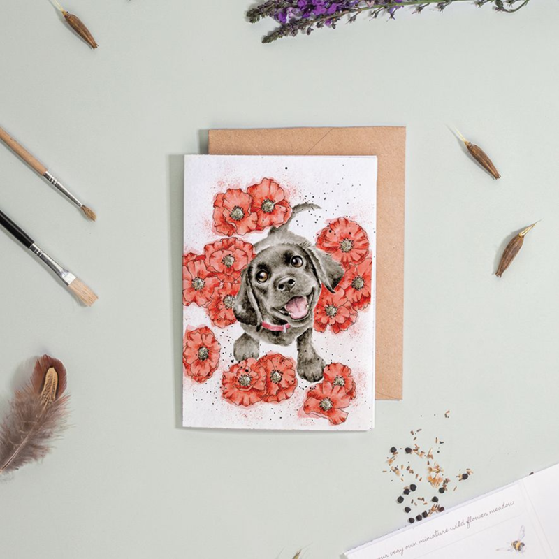 Wrendale Designs 'Poppy Love' Dog Seed Card-1