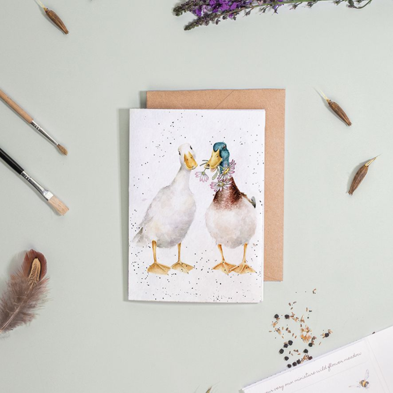 Wrendale Designs 'Not A Daisy Goes By' Duck Seed Card-1