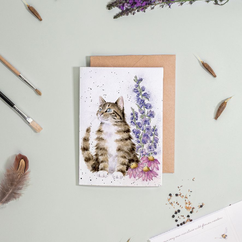 Wrendale Designs 'Whiskers And Wildflowers' Cat Seed Card-1