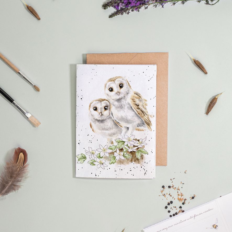 Wrendale Designs 'Hooting For You' Owl Seed Card-1