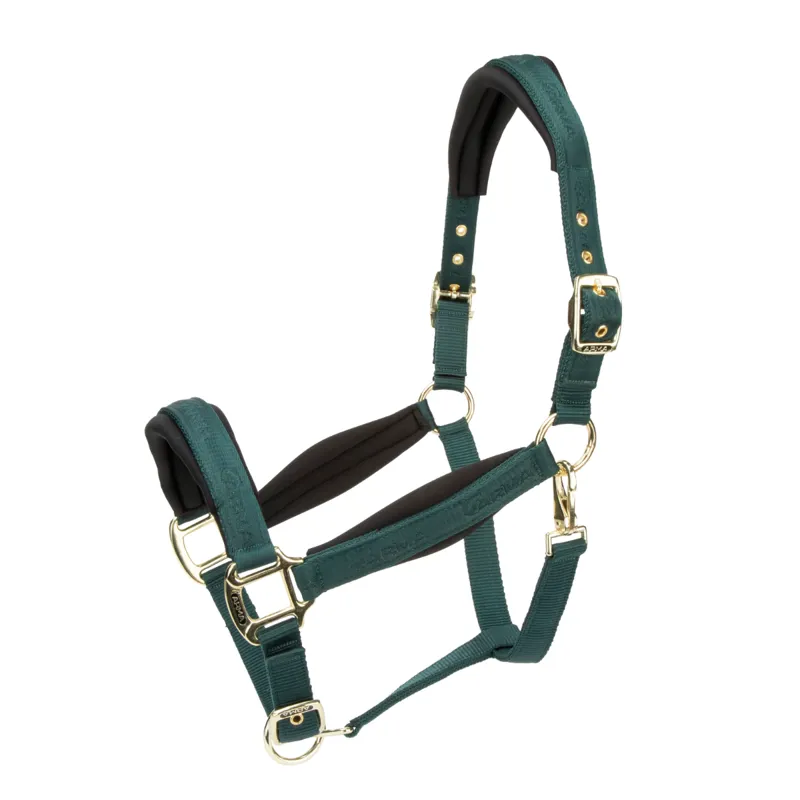 Shires ARMA Padded Headcollar - Green