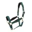 Shires ARMA Padded Headcollar - Green