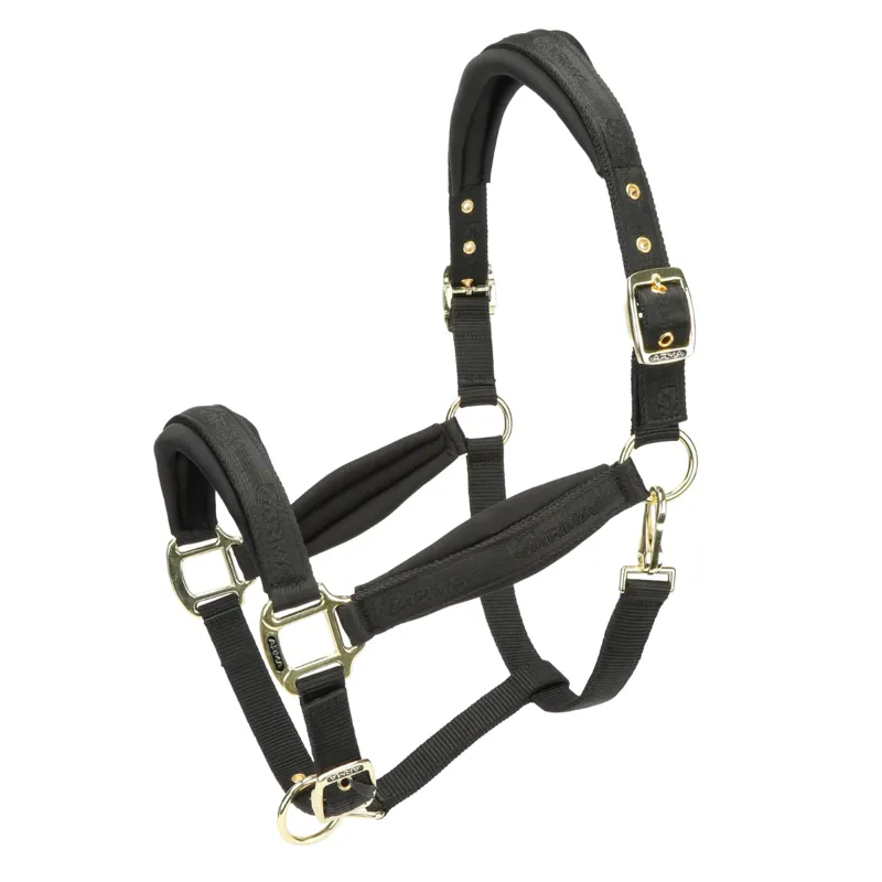 Shires ARMA Padded Headcollar - Black