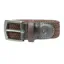 Hy Equestrian Woven Elastic Belt - Brown