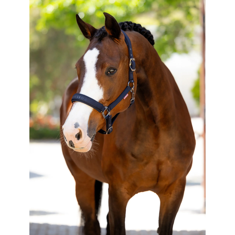 LeMieux Essence Headcollar - Navy-1