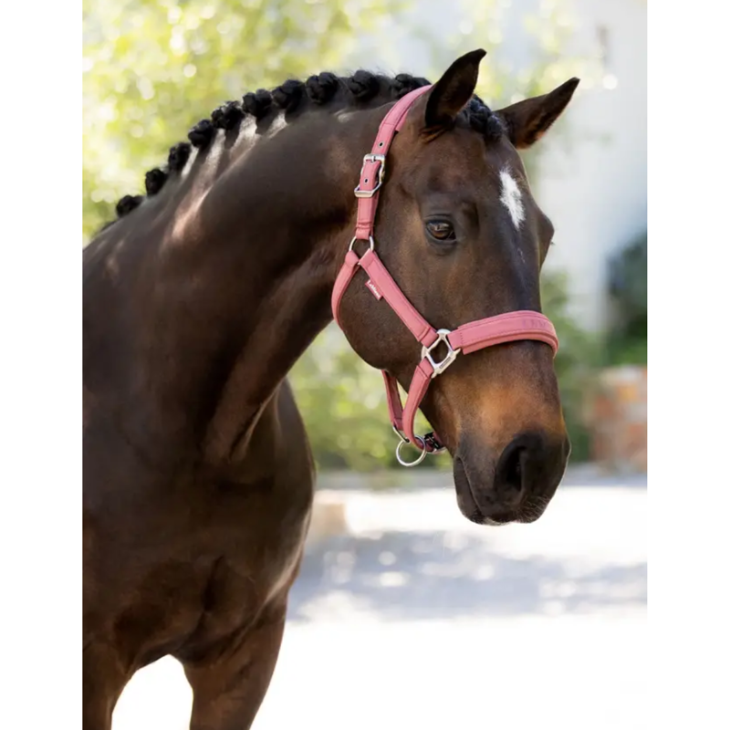 LeMieux Essence Headcollar - Rosewood-1