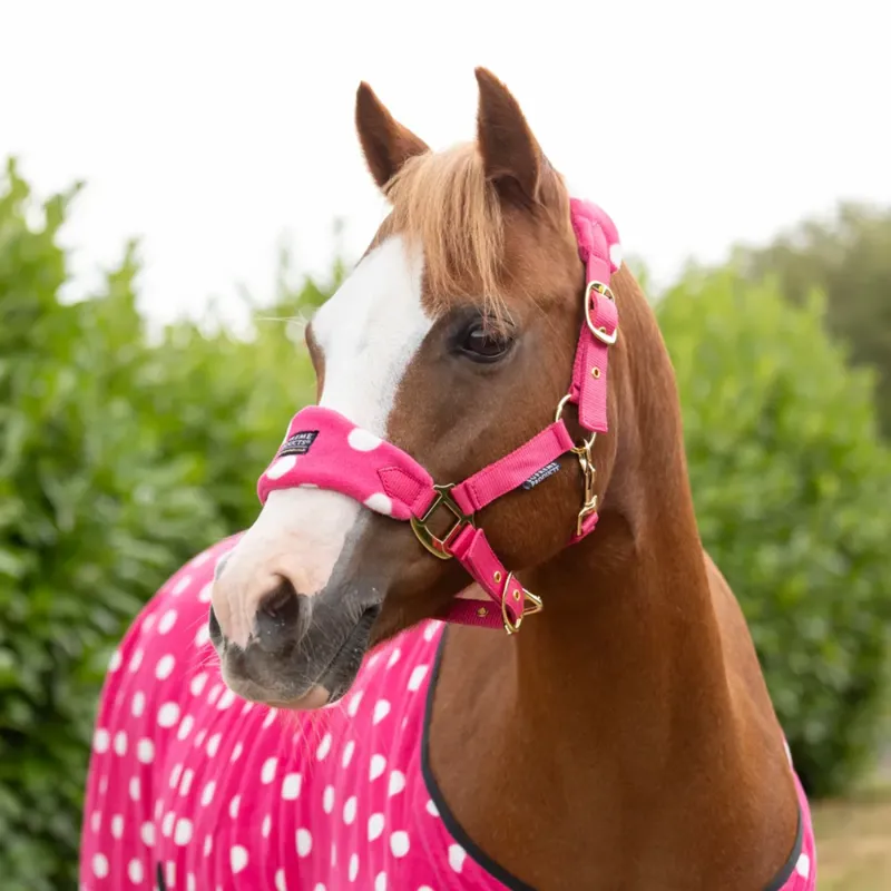 Supreme Products Dotty Fleece Headcollar And Leadrope - Paradise Pink