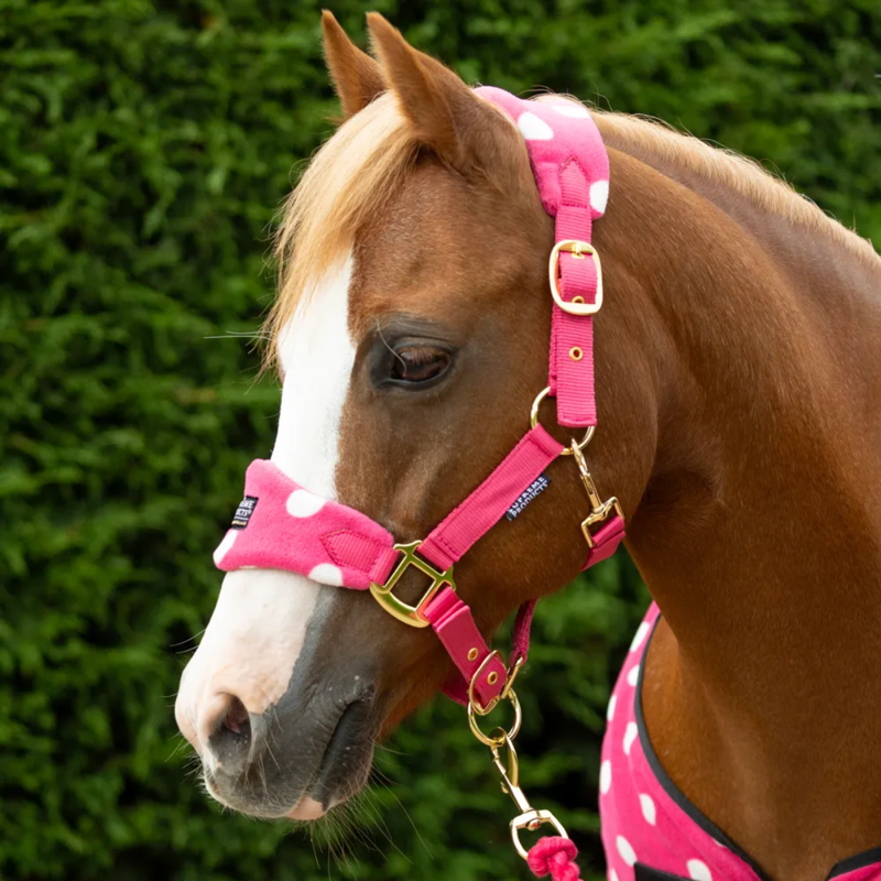 Supreme Products Dotty Fleece Headcollar And Leadrope - Paradise Pink-1